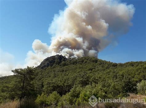 Antalya'nın kumluca ilçesinde henüz belirlenemeyen bir nedenle orman yangını çıktı. Antalya'da orman yangını Foto Galerisi - 4 - Bursadabugun.com