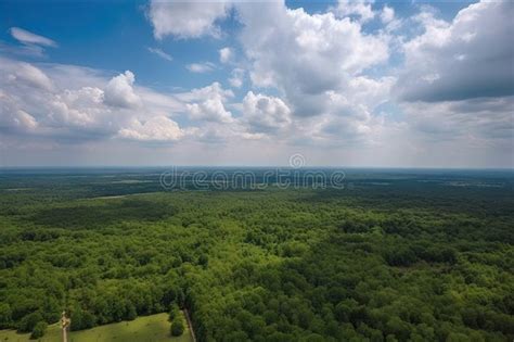 Blue Sky With Clouds Above Forest Landscape View From Aerial