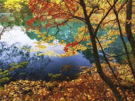 Lake Goshikinuma Fukushima Japan The Color Of Autumn Trees With Yellow