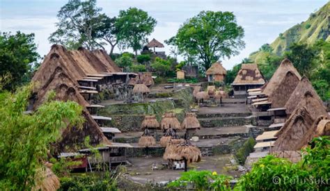 Kampung Bena Nttonline