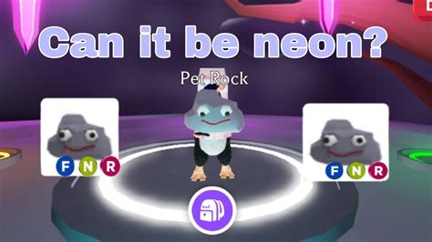 Can A Pet Rock In Adopt Me Be Neonroblox Youtube