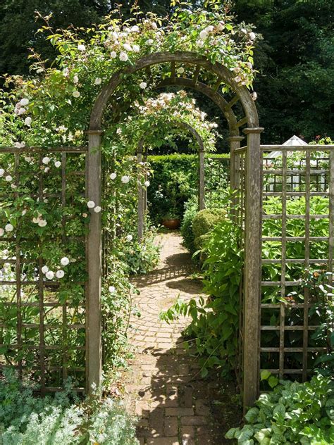Trellis Ideas For Gardens 15 Chic Screens To Add Plants Privacy And