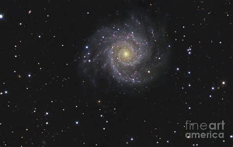 Messier 74 A Face On Spiral Galaxy Photograph By R Jay Gabany