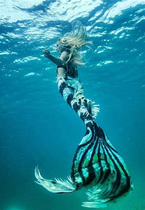 Pin By Deborah Baker Stipp On Mermaids Mermaid Photography Mermaid