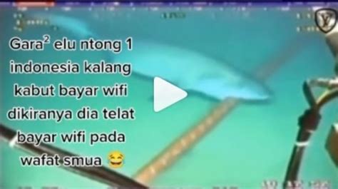 Beredar Video Kabel Telkomsel Dan Indihome Digigit Hiu Di Dasar Laut