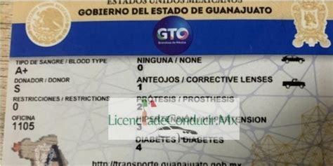 Licencia De Conducir Guanajuato Requisitos Cita Hot Sex Picture