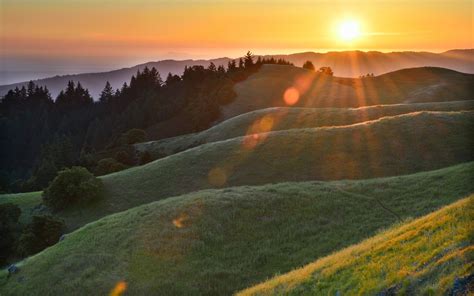 Morning Sun Rays Glare Forest Hills Grass Dew Wallpaper 1920x1200