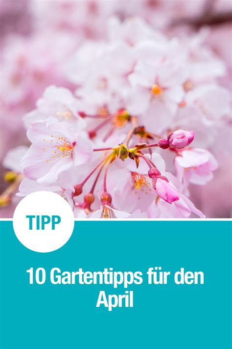 10 Gartentipps Für April Gartentipps Garten Tipps