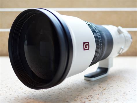 Sony Fe 600mm F4 Gm Oss Review So Far Cameralabs