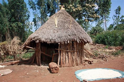 tulok a traditional ethiopian hut with grain draining in front vernacular architecture