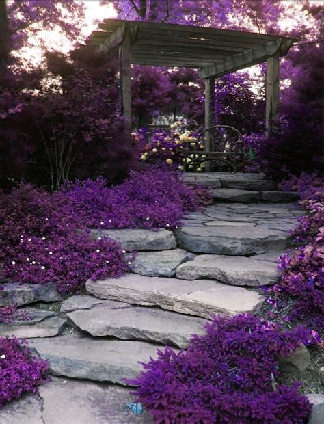 20 Amazing Stone Pathways That Will Steal The Show Фиолетовый сад