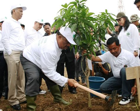 Bagaimanapun juga efek rumah kaca akan menyebabkan suhu di bumi menjadi bertambah panas atau tinggi. efek rumah kaca: MENCEGAH BUMI DARI GLOBAL WARMING