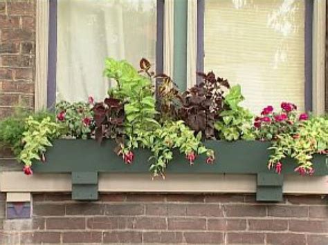 We did not find results for: Planting Window Boxes for Shade | DIY