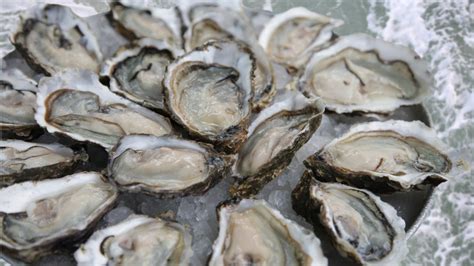 10 Things You Probably Didnt Know About Oysters