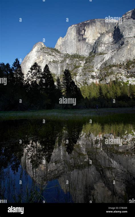 North West Face Of Half Dome Reflected In Mirror Lake Yosemite