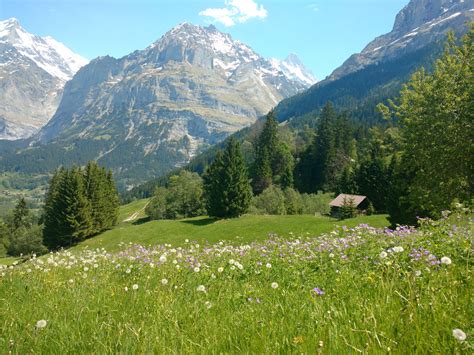 You Are Going To Love Swiss Alps In The Summer