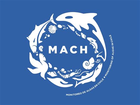 MACH Logo By Naked Ideas On Dribbble