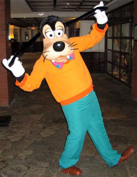 Image Goofy In His Goof Troop Outfit Disney Parks Wiki Fandom