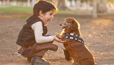 Niños Y Mascotas Beneficios Razas De Perros Ideales