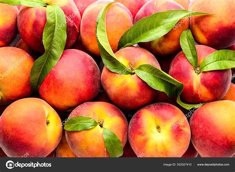 Many Ripe Peaches As Background Stock Photo By ©serezniy 303327410