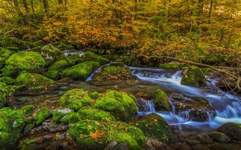 Kroparica Creek River Waterfall In Slovenia Rocks Covered