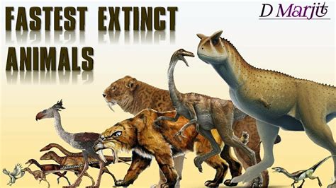 Top 10 Extinct Animals 🐆🦝 ১০টি লুপ্ত প্রাণী 👈 Youtube