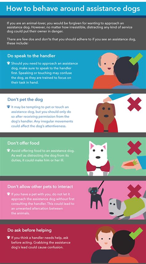 Assistance Dogs Behaviour Guide