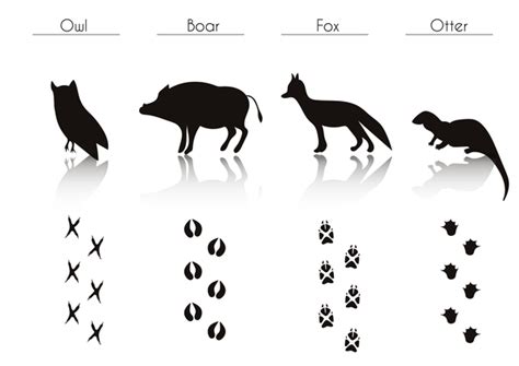 Animals With Footprint Silhouette Vector Material 07 Welovesolo