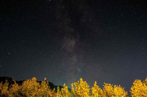 Orionid Meteor Shower 2022 How To Watch It Peak In Night Skies The