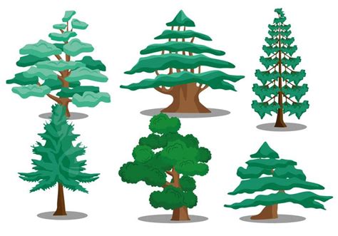 Cedar Tree Vectors Download Free Vector Art Stock Graphics And Images