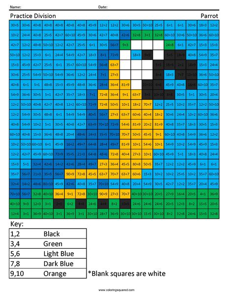 division parrot  grade math coloring squared