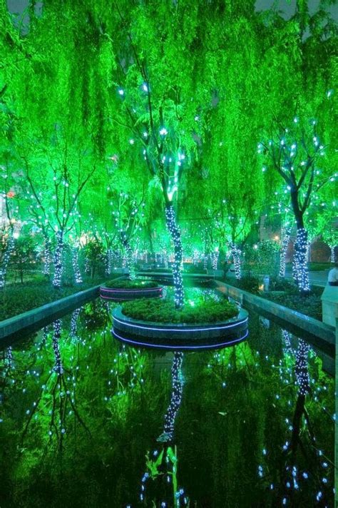 Amazing Magic Forest Shanghai China Beautiful Places To Visit
