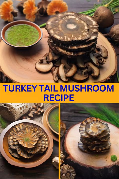 turkey tail mushroom recipe