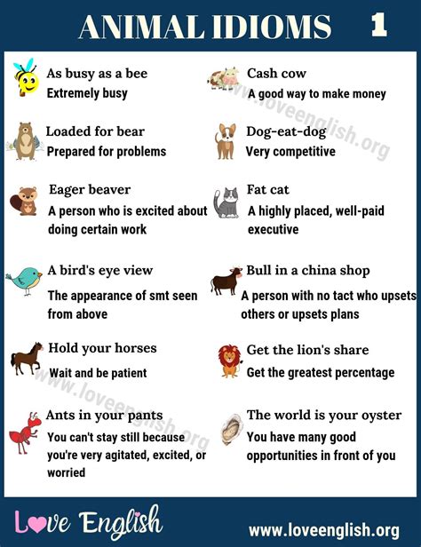 Animal Idioms 20 Interesting Animal Idioms With Meanings Artofit