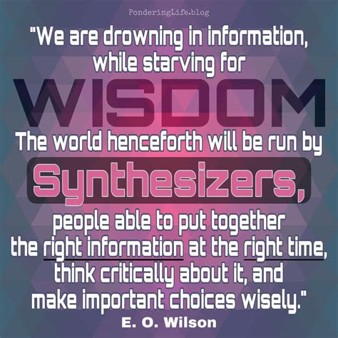 Wisdom Synthesizers Pondering Life Pursuing God