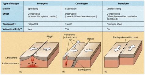 Tectonic plates are pieces of earth's crust and uppermost mantle, together referred to as the lithosphere. Plate Tectonics Worksheet - Christian's Marine Science Page!