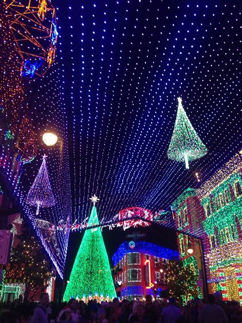 Osborne Lights Disneys Hollywood Studios Decoração De Natal Natal