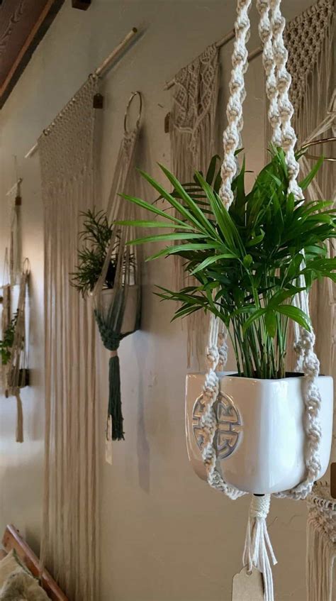 10 Hanging Plants And Ideas For Hanging Planters Youll