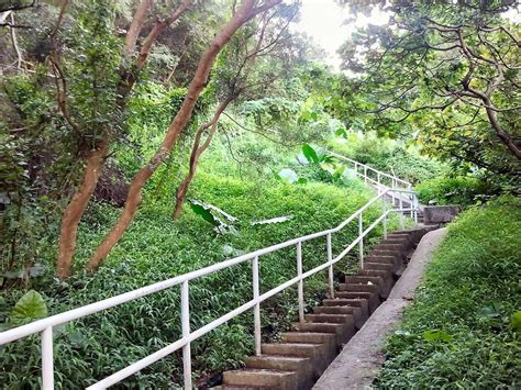 Wan Chai Green Trail Hong Kong All You Need To Know Before You Go