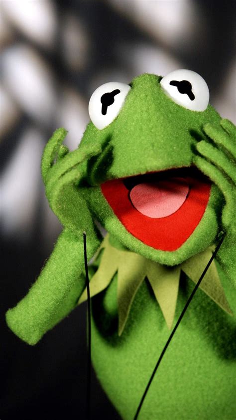 Kermit The Frog Muppet Show Wallpaper 139490