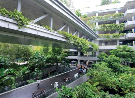 Reconnecting With Nature Unravelling The Power Of Biophilic Design In