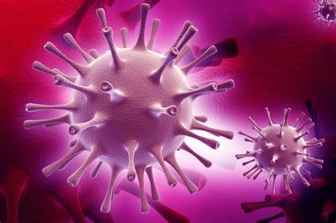 Tiny burrows left by the tunneling of female scabies mites may be visible on the skin. Stages Of Genital Herpes - THE #1 SOURCE FOR ALTERNATIVE ...