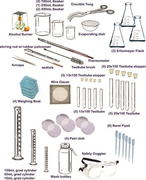 194 Best Images About Stem Science On Pinterest Dna Microbiology