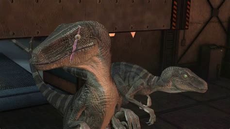 Image Scarred Raptor Leader Jptg 1 Jurassic Park Wiki Fandom