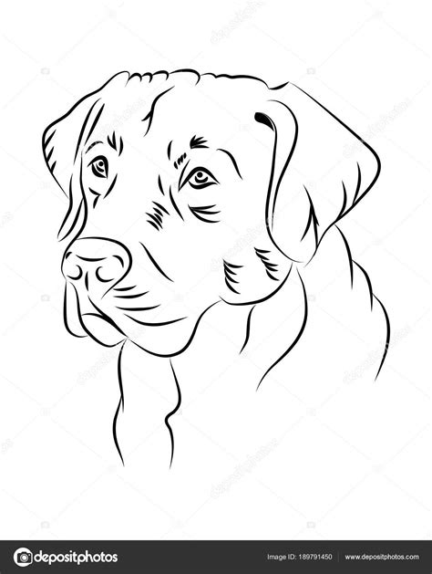 Labrador Dog Line Art Tribal Freehand Vector Illustration Stock