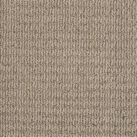 Stainmaster Trusoft Unequivocal Shining Taupe Carpet Sample At