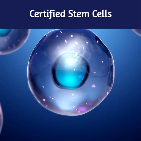 certified stem cells at dreambody clinic the highest quality stem cells