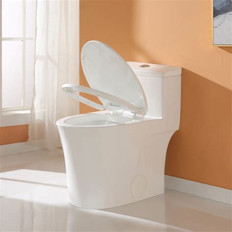 Ada Comfortable Seat Horow Modern Dual Flush Elongated One Piece Toilet