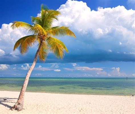 Beaches In The Florida Keys That Youll Love