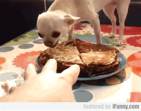 Pie Gif Find Share On Giphy